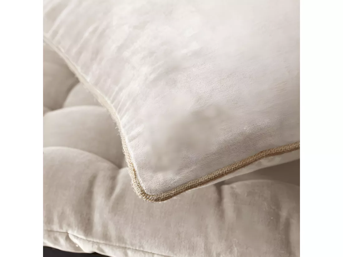 HARRIS - Coussin Déhoussable 45x45cm Velours de Coton Coloris Pampa