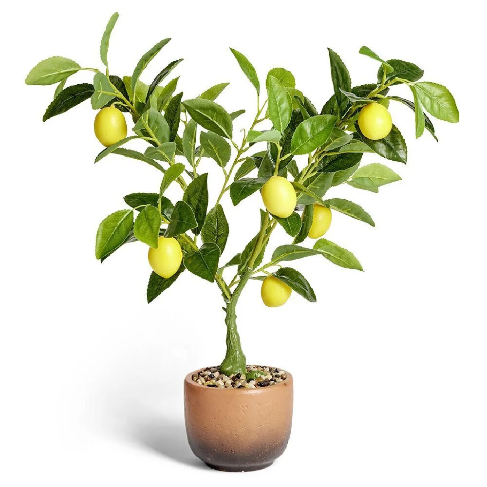 Citronnier artificiel dans pot terre cuite H60cm