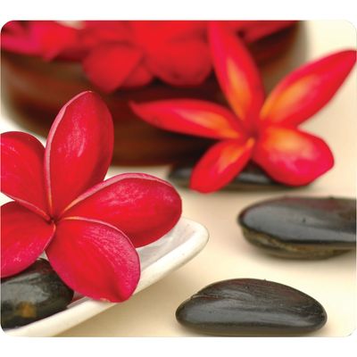 Fellowes - Tapis de souris Earth Series - Spa