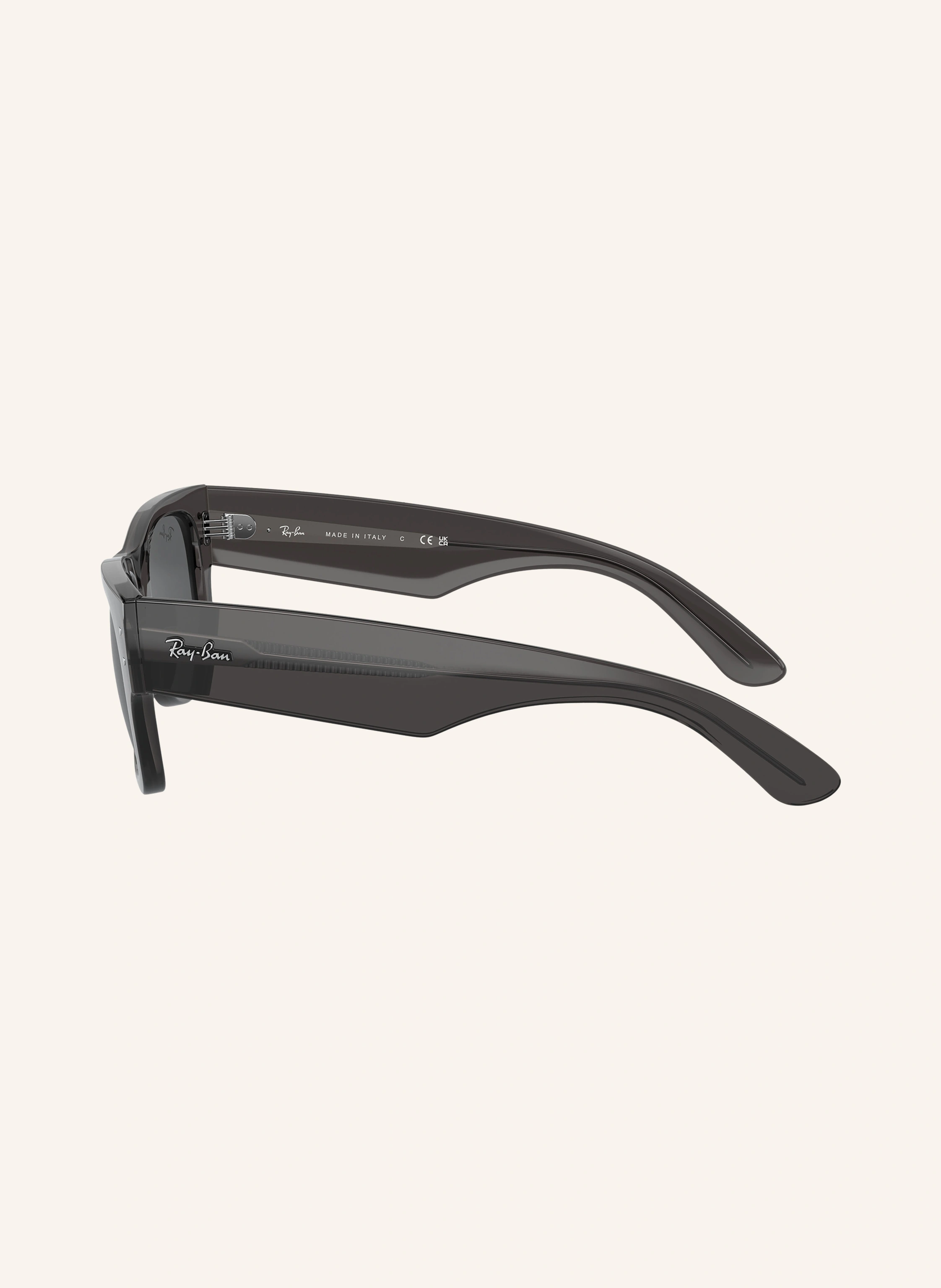 Ray-Ban Sonnenbrille RB0840S