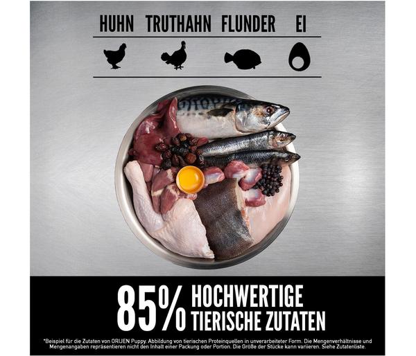 ORIJEN™ Trockenfutter für Hunde Puppy