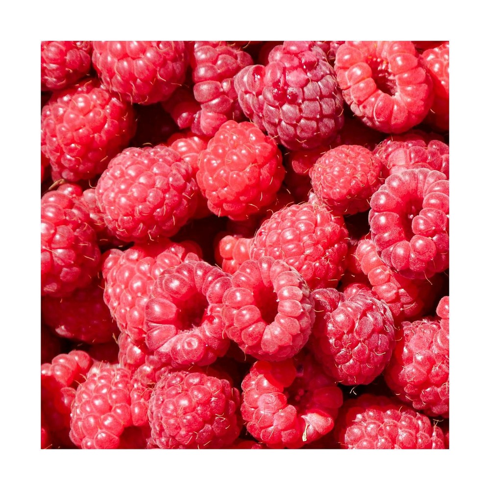 Framboisier idaeus mecker/rubus idaeus mecker[-]pot de 3 l - 40/50 cm