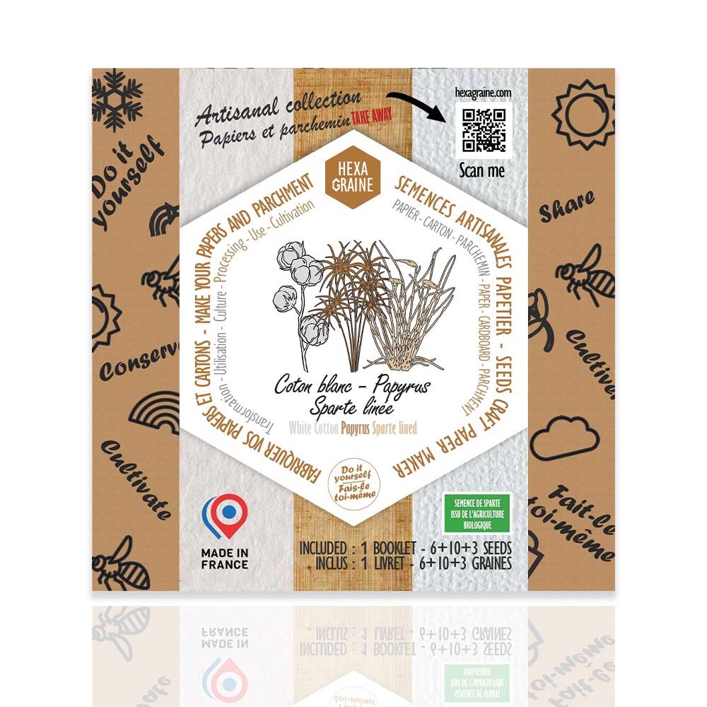 Coffret de semences papetier papiers carton parchemin