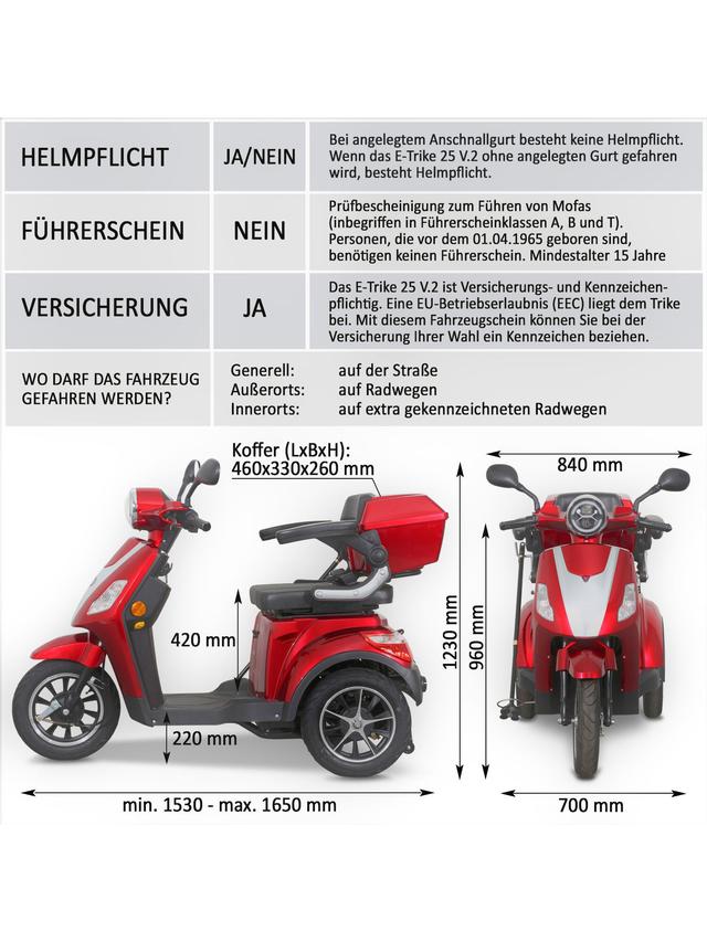 E-Trike 25 pro