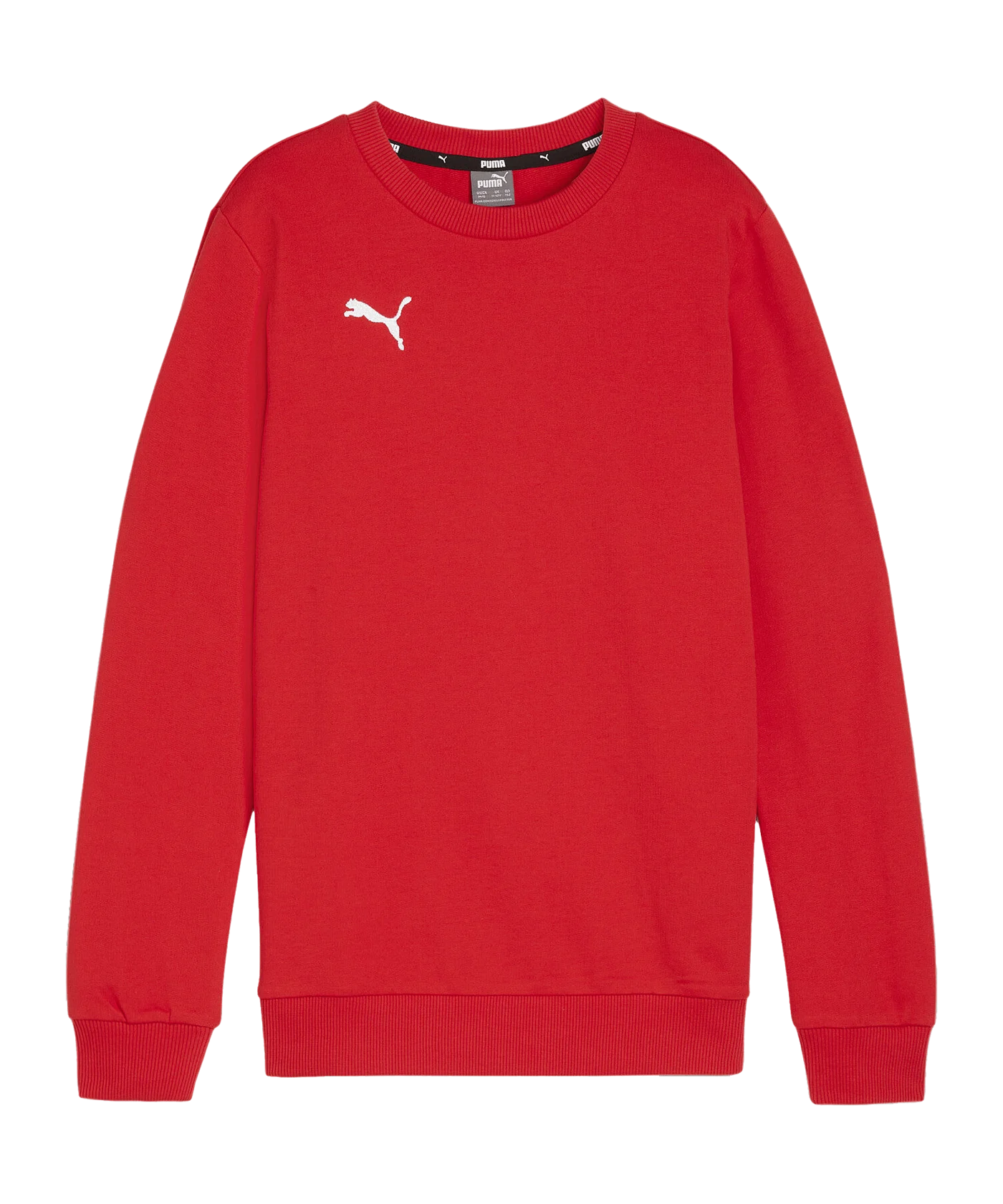 PUMA teamGOAL Casuals Sweatshirt Kids Rpt F01