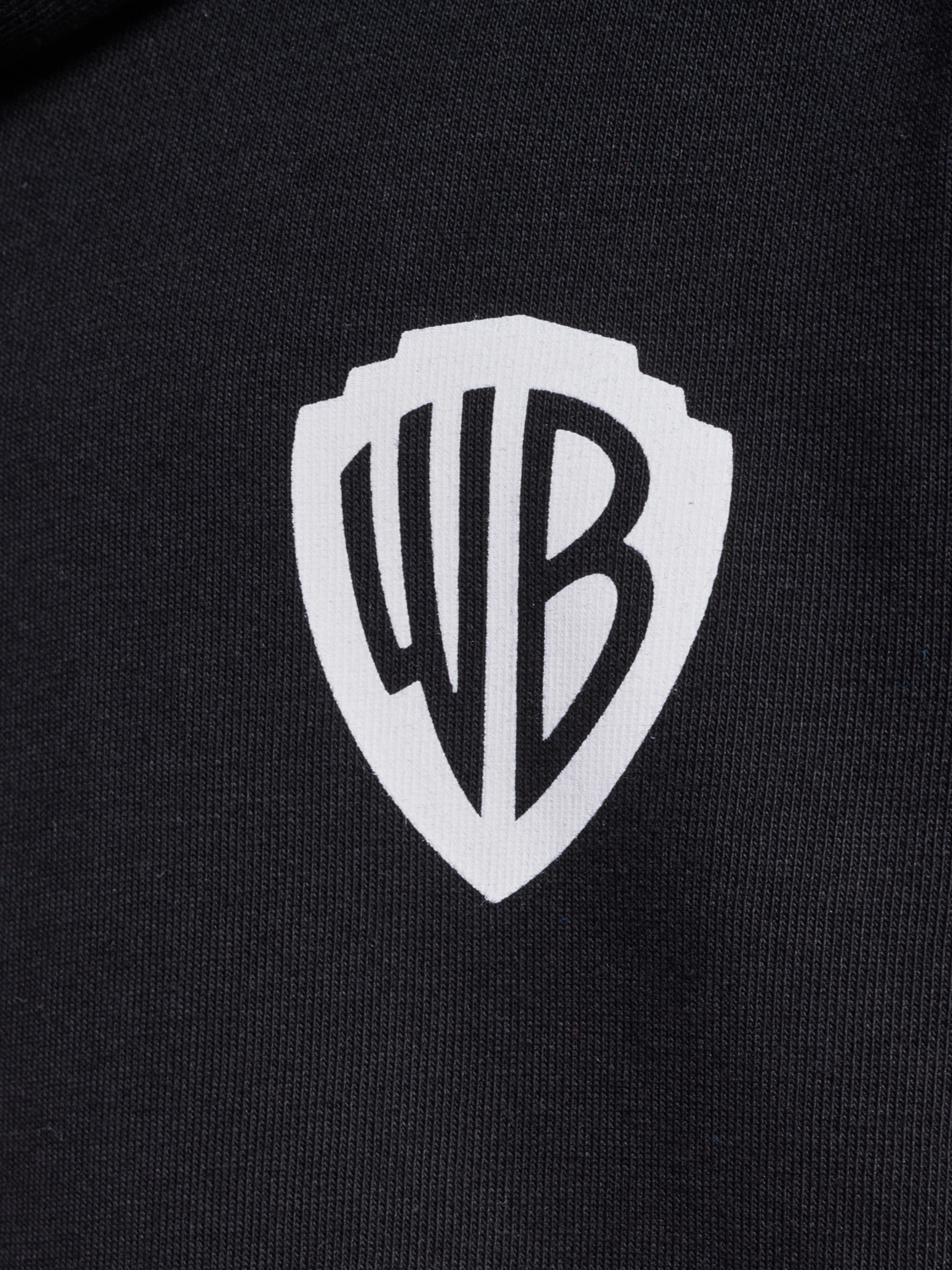 hmlCELEBRATING STORY HOODIE