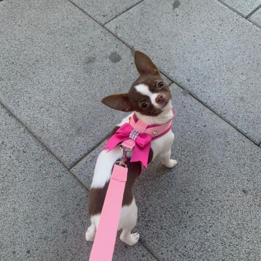 Coleira Ideal Pets Love na cor rosa para cães