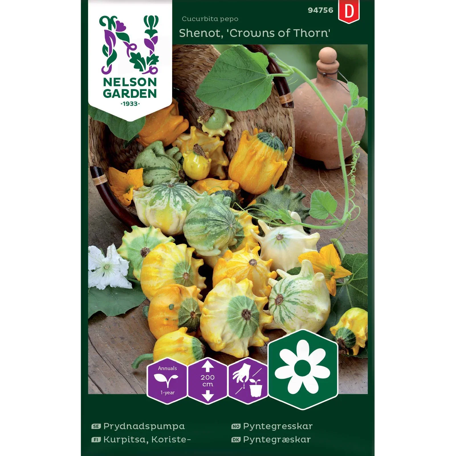 Cucurbita pepo 'Crowns of Thorn' Pyntegresskar Shenot, 'Crowns of Thorn'