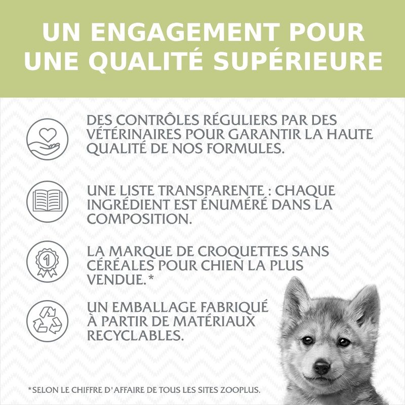 Little Wolf of Wilderness Junior Green Fields, agneau pour chiot