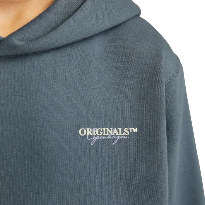 Jack & Jones Joris Lington Hoodie Junior