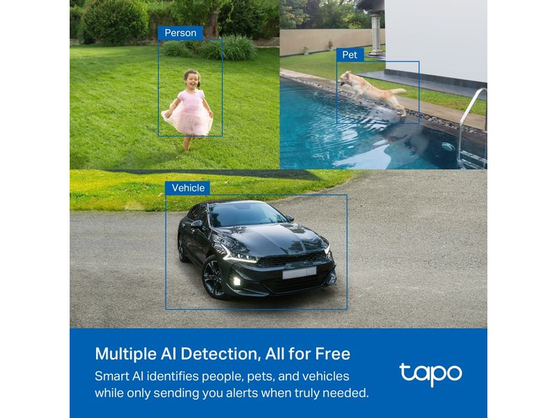 TP-Link Netzwerkkamera Tapo C425 inkl. Solarpanel Tapo A201 Solarbetriebenes Sicherheitskamera-Kit
