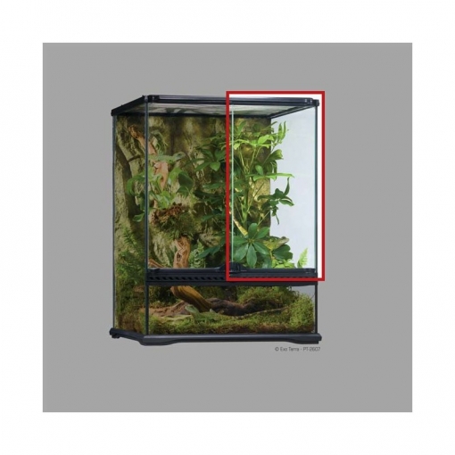 Exo-Terra PT2600 Porta Direita - ref. PT2513