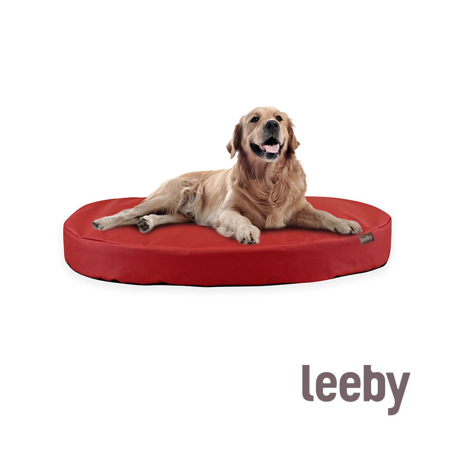 Tapete vermelho impermeável e removível para cães Leeby