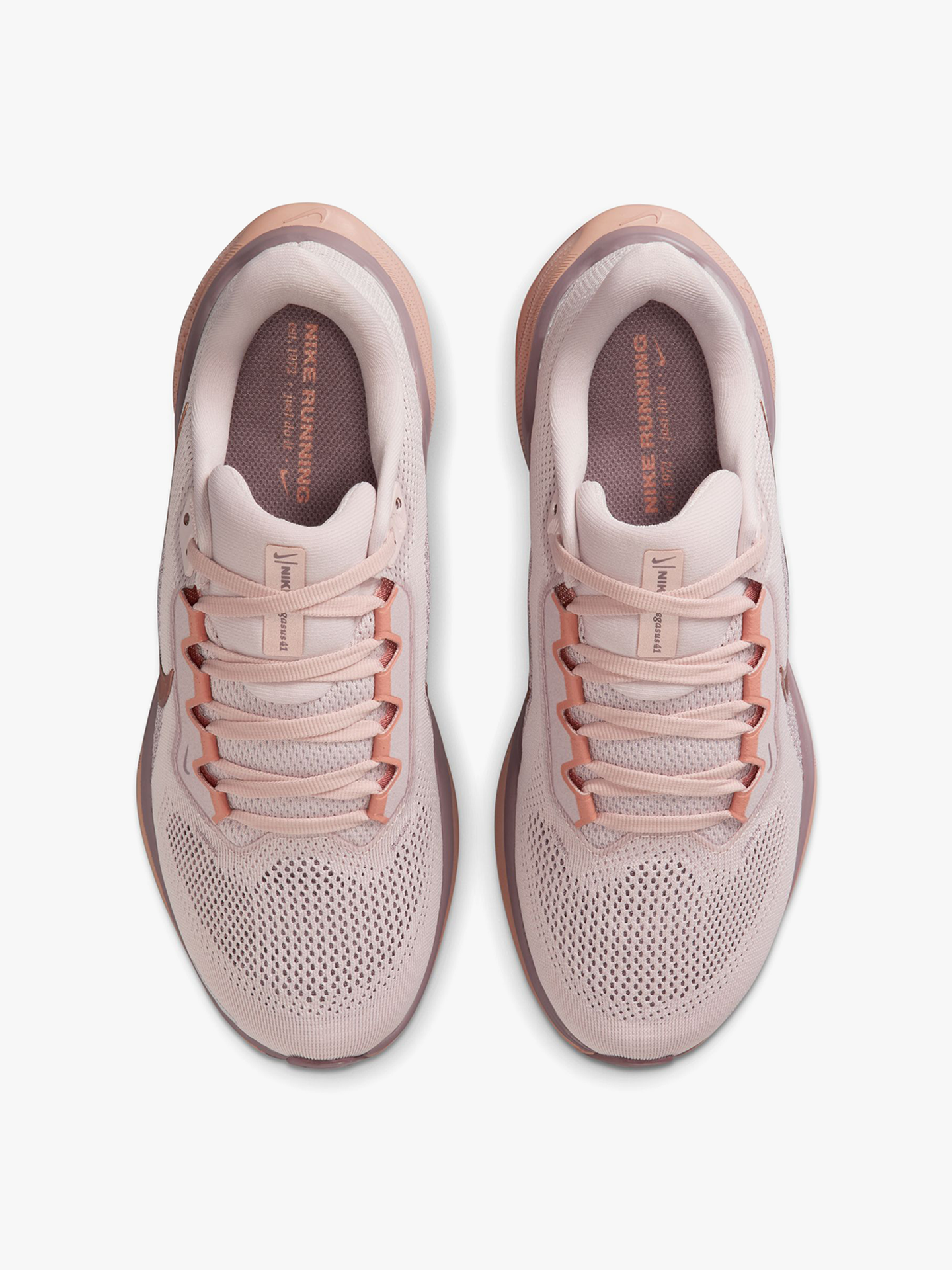 Pegasus 41