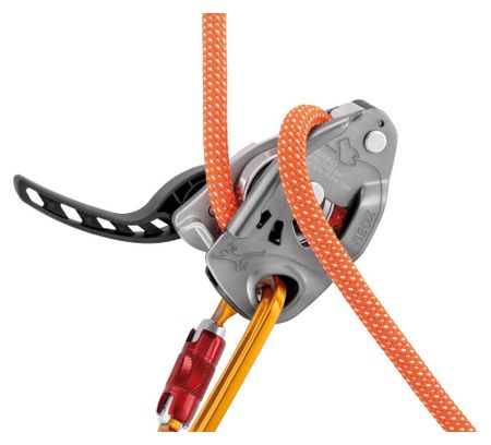 Assureur Petzl Neox Gris