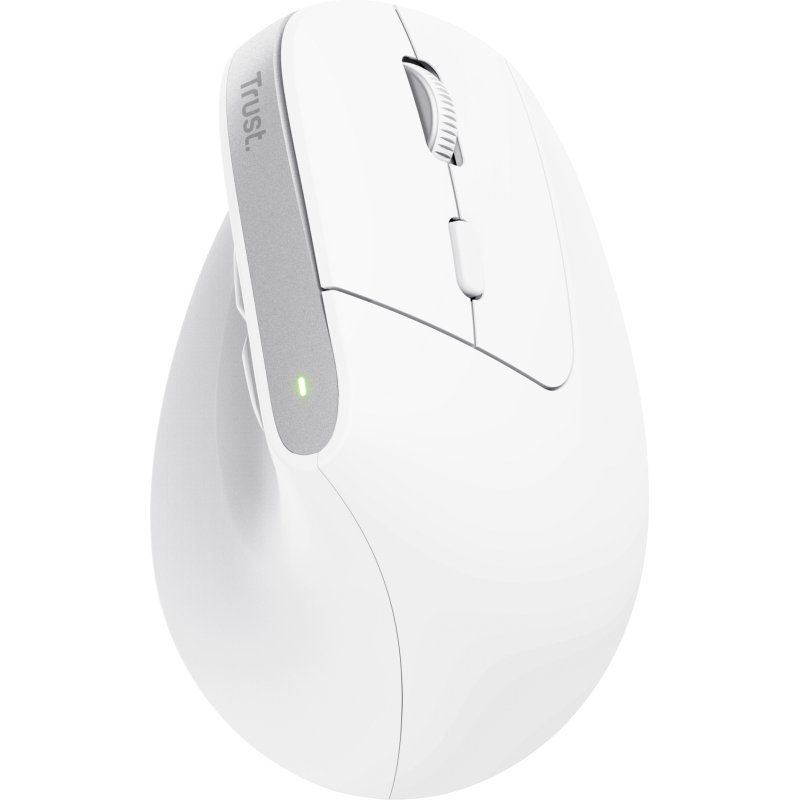 Trust Bayo+ souris Bureau Droitier RF sans fil + Bluetooth Optique 2400 DPI