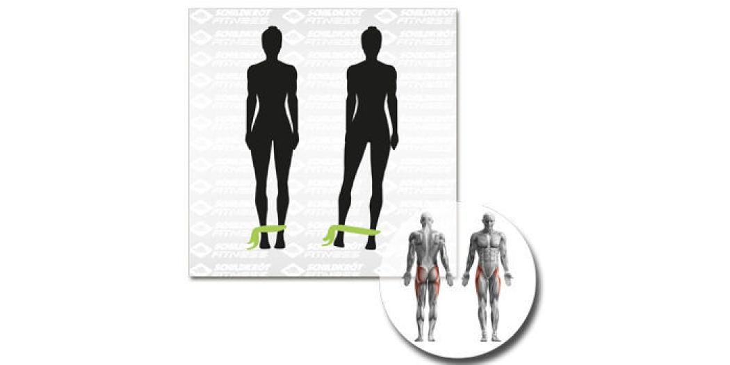Schildkröt Fitness Fitnessbänder Fitnessbänder-Set mit zwei Stück