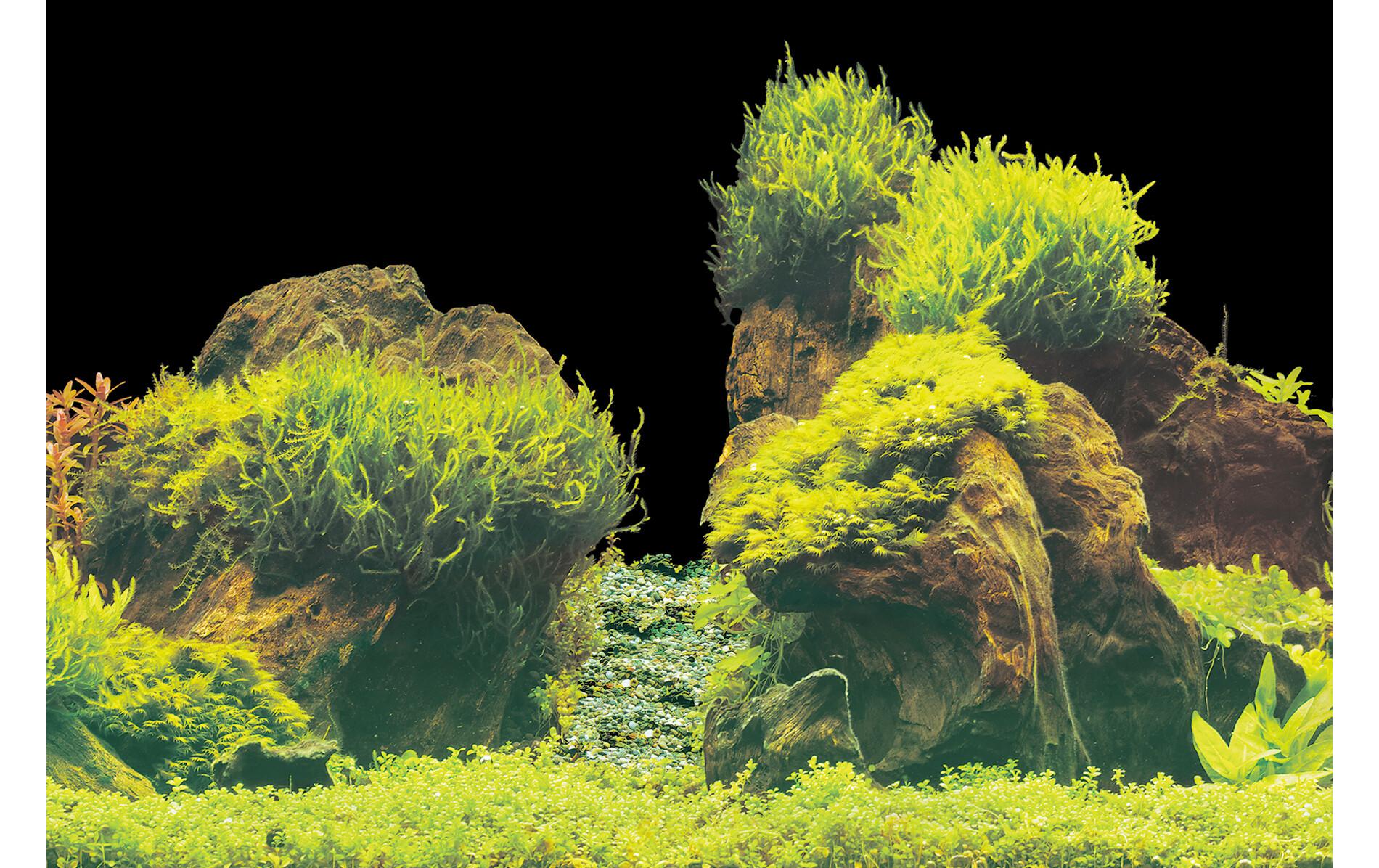 Rückwandfolie Deko Poster E6 150 x 61 cmPoster-Rückwand für das Aquarium