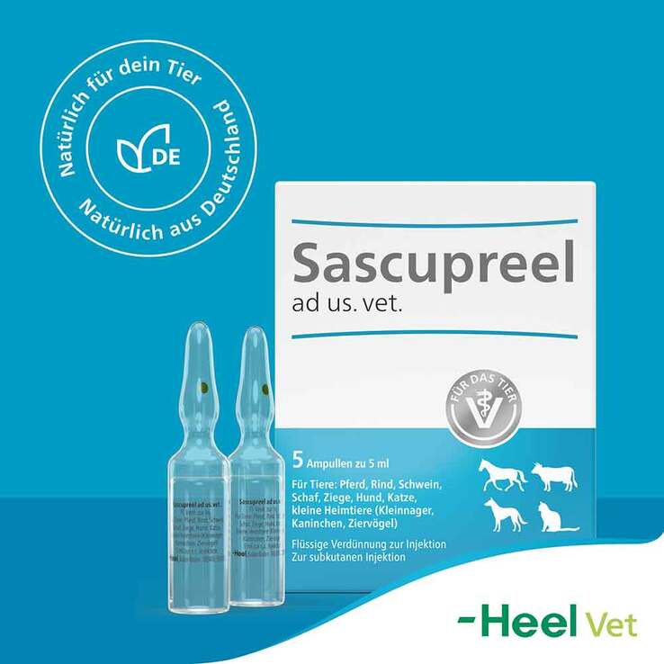 Sascupreel ad us.vet.Ampullen, 5X5 ml
