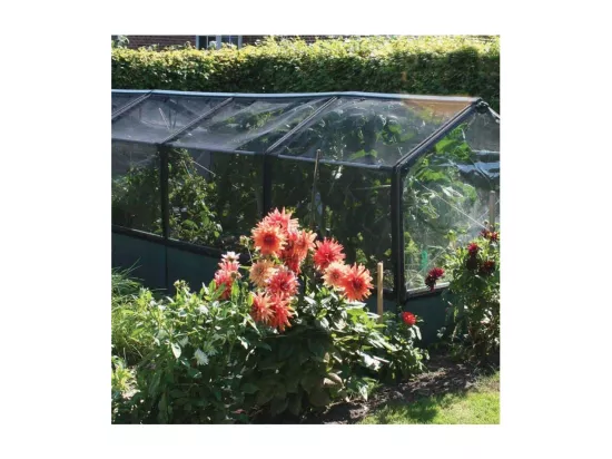 Potager premium avec serre et protection Veg Longueur 240 cm