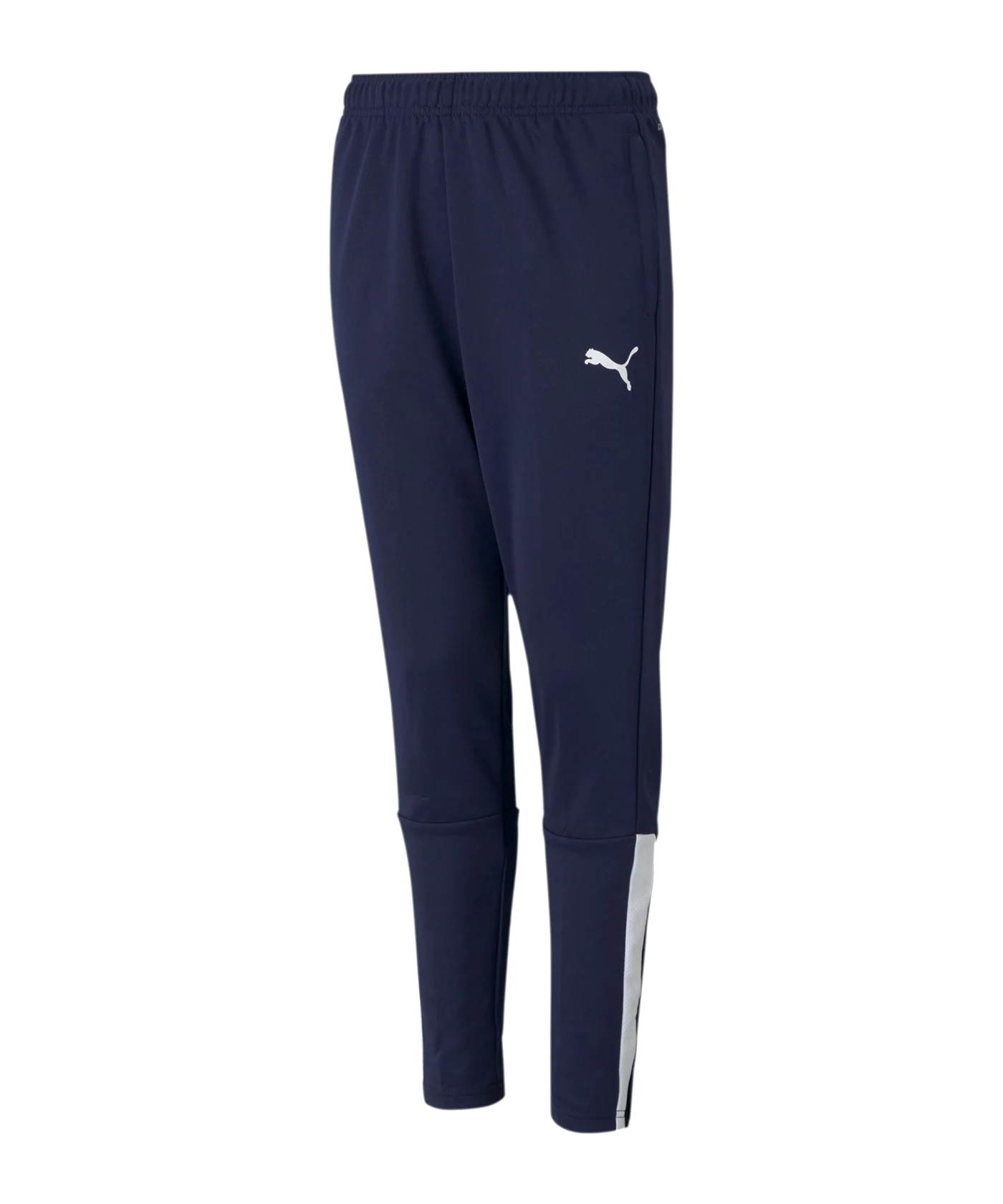 PUMA teamLIGA Trainingshose Kids Blau Weiss F06