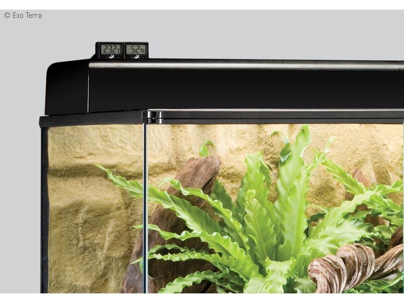 Exo Terra Thermometer Digital mit Fernsensor Digitales Präzisionsmessgerät