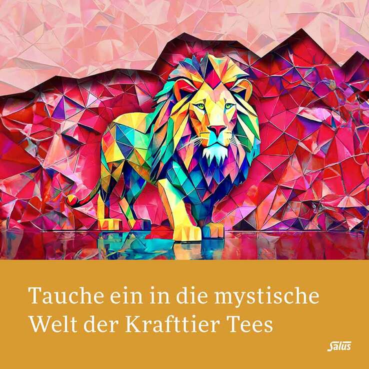 Krafttier Tee Weiser Elefant Bio Salus Filterbeutel , 15 St
