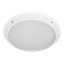 Plafond Ø30 cm E27 IP66