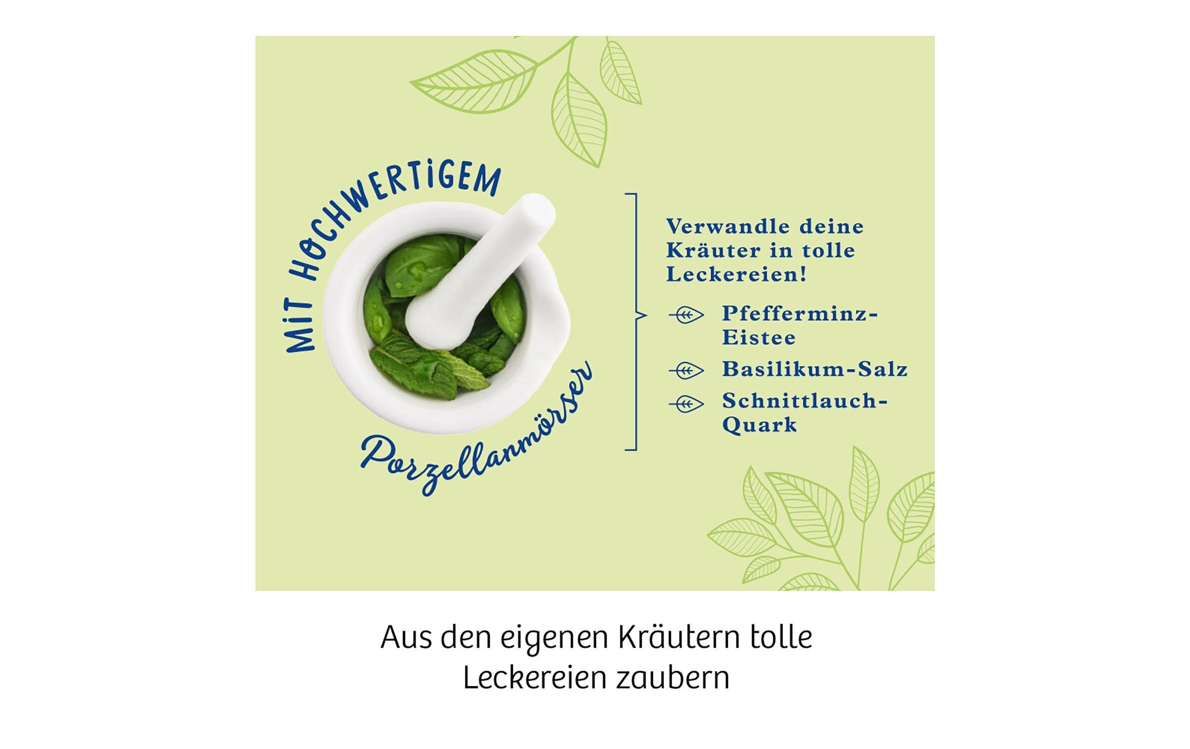 KräutergartenGewächshaus für die Fensterbank
