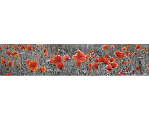 Keukenachterwand mySpotti Splash Klaprozen 2800 x 600 mm SP-F2-1257