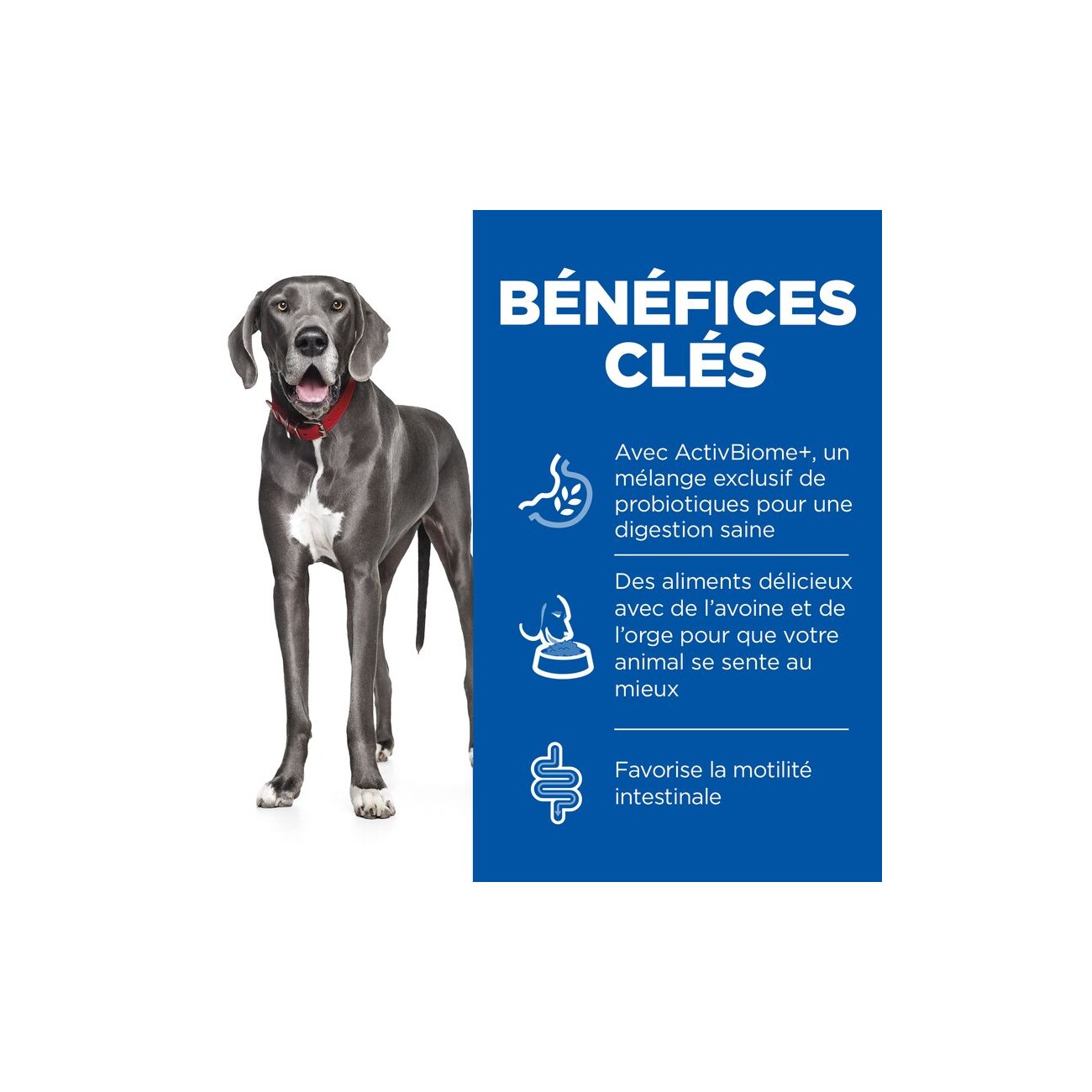 Hill's Science Plan Perfect Digestion Adult Large Breed mit Huhn und Reis 14 kg