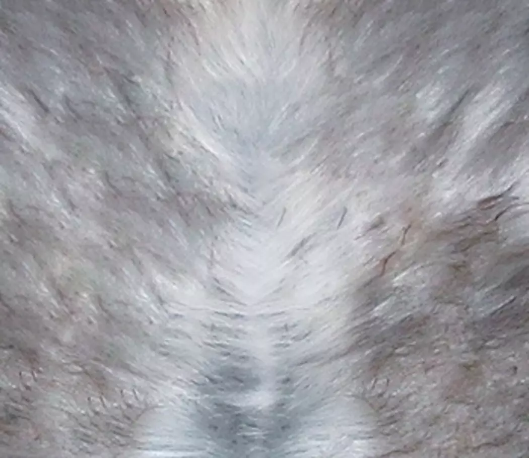 Schaffell Nordlandschnucken 75 x 125cm
