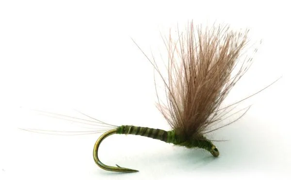 Umpqua Flies Cdc Biot Comparadun Olive