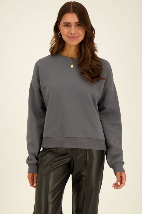 Grijze sweater C'est la vie