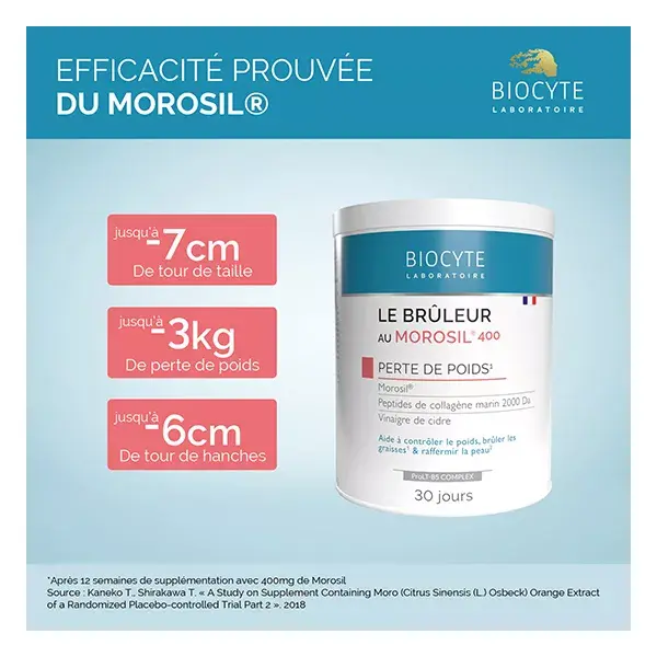 Biocyte Le Bruleur Morosil 400mg Emagrecimento Sabor Frutas Vermelhas 240g