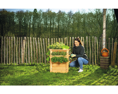 Premium verhoogde tuinbak WESTMANN maat L 65 x 65 x 73 cm naturel