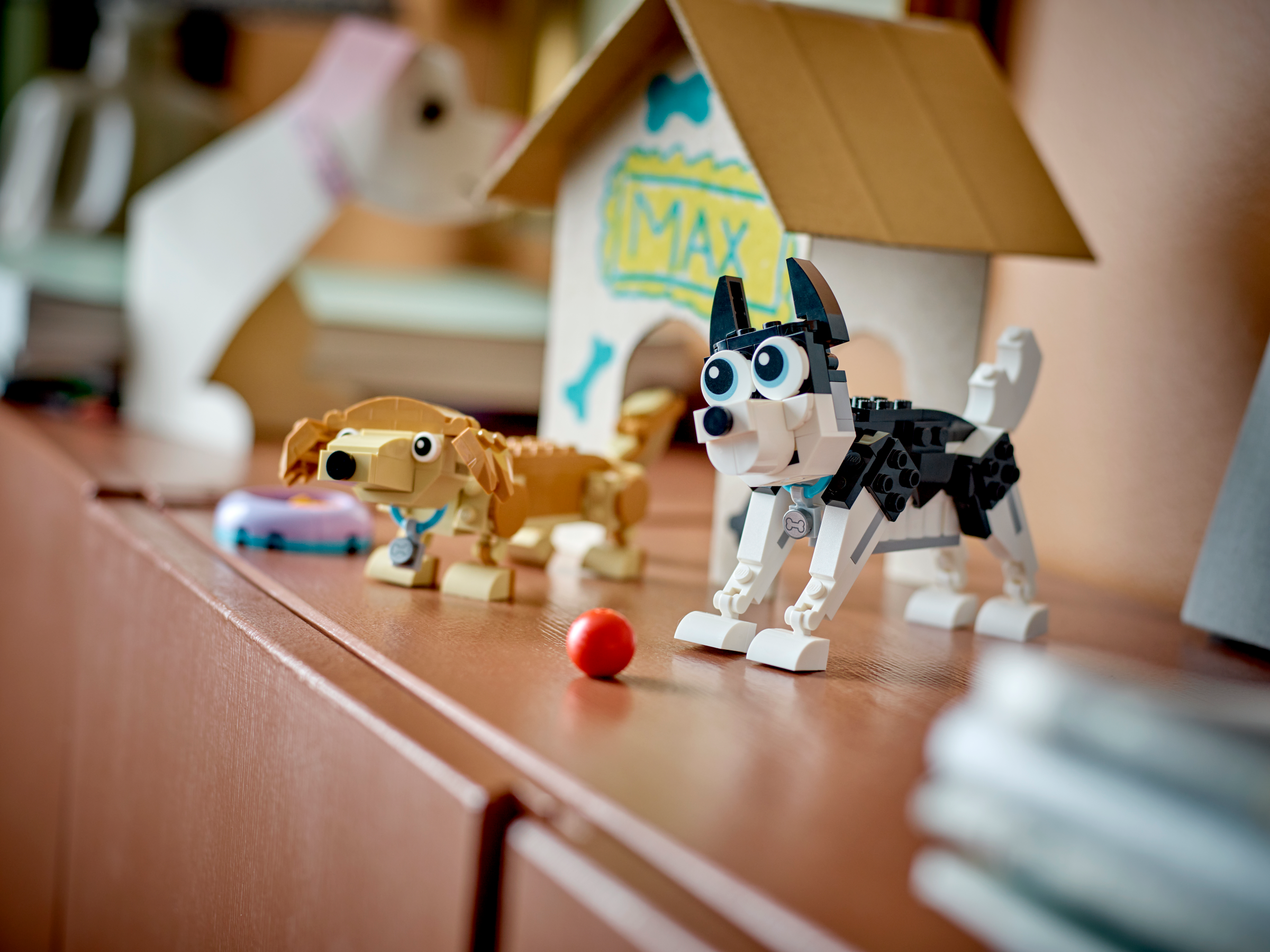 Cães adoráveis 31137