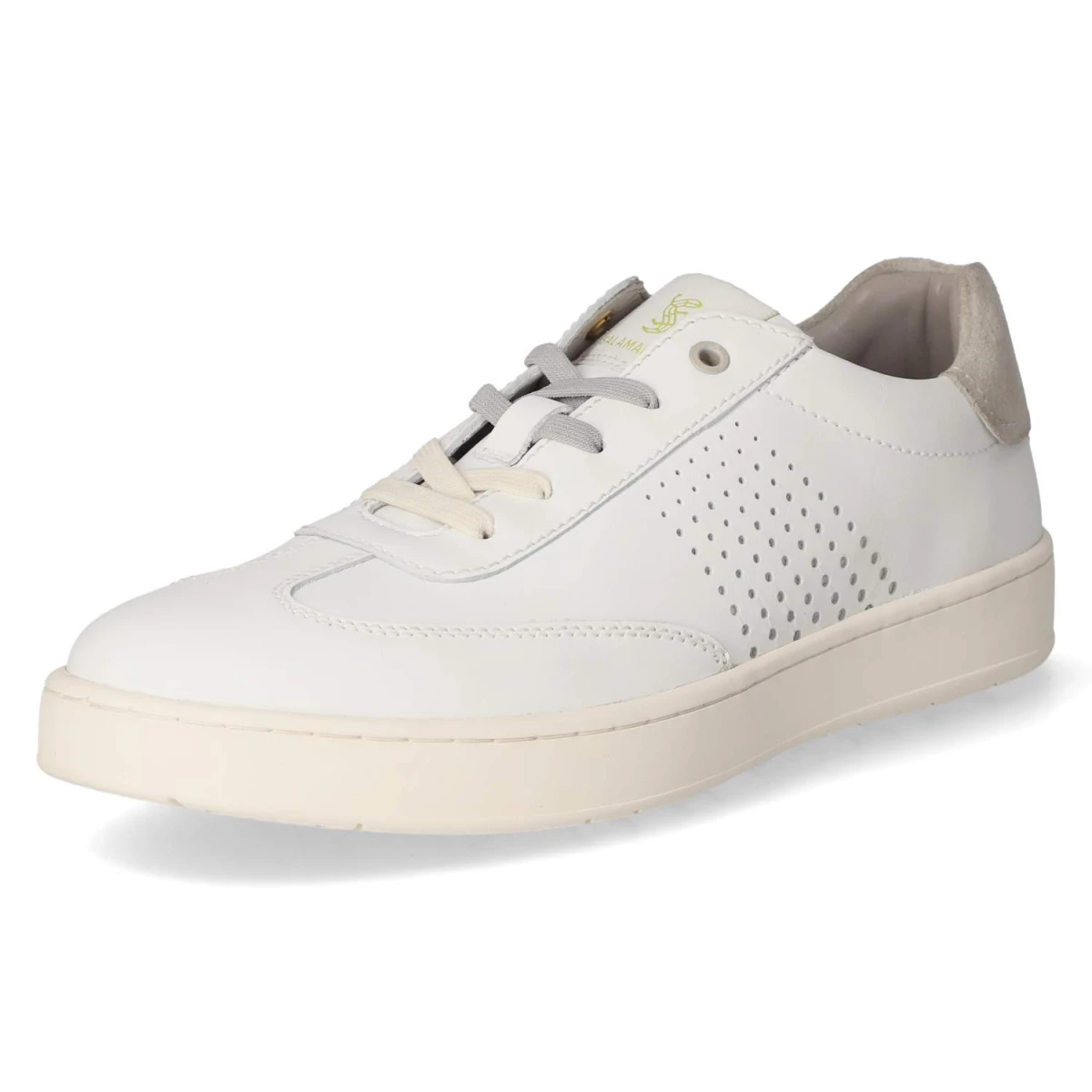 SalamanderLow Sneaker - white