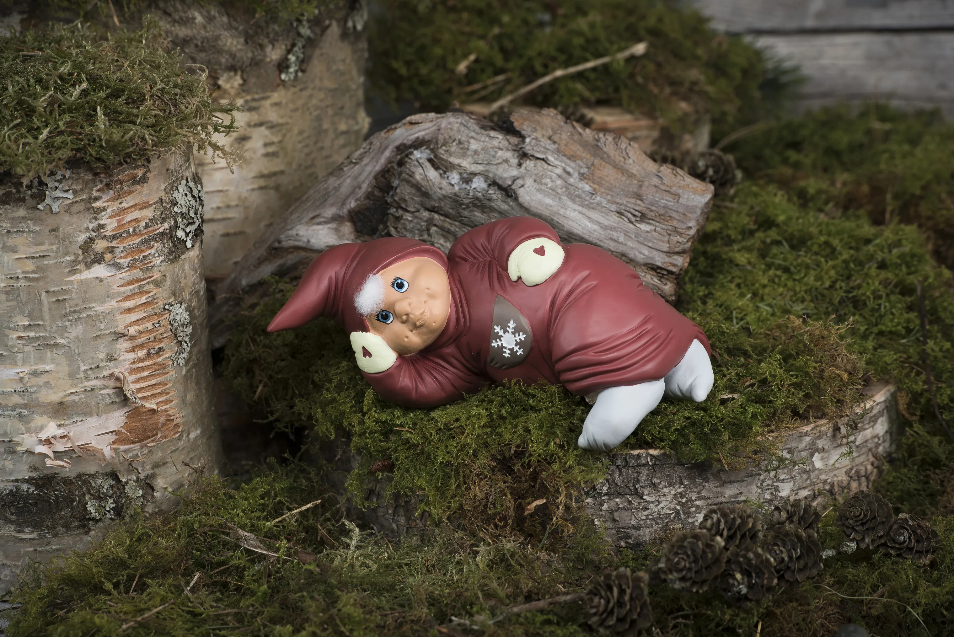Klarborg Nisse - Rikke
