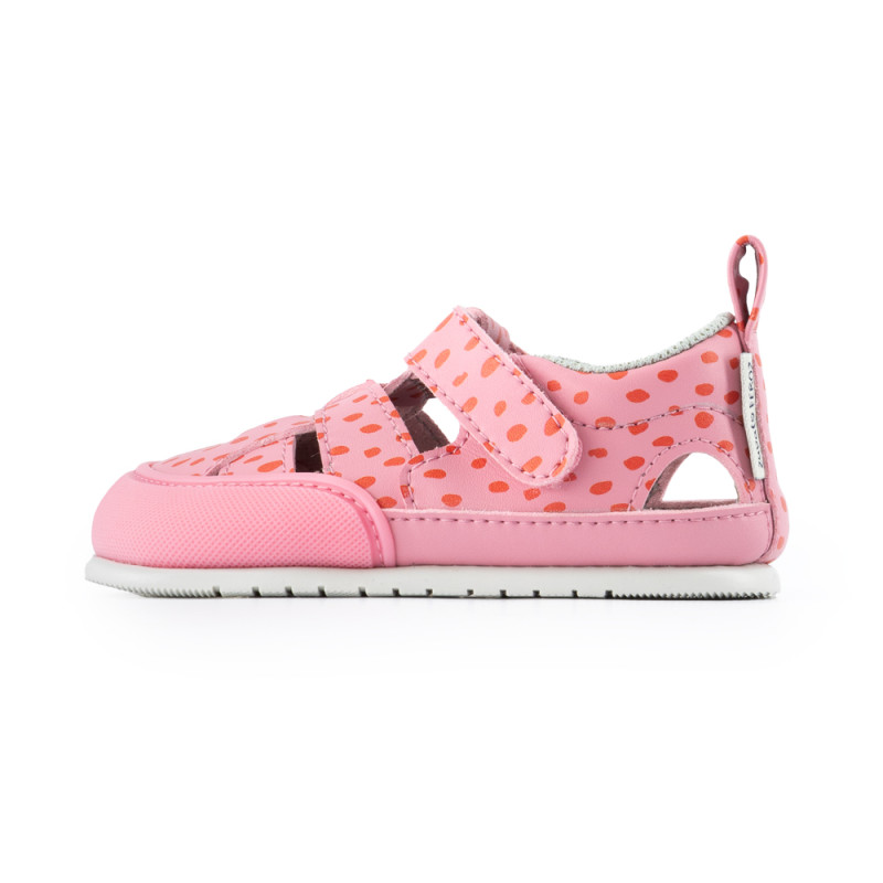 Zapato feroz Zapato Feroz Féroces Irta Ulises Rosa