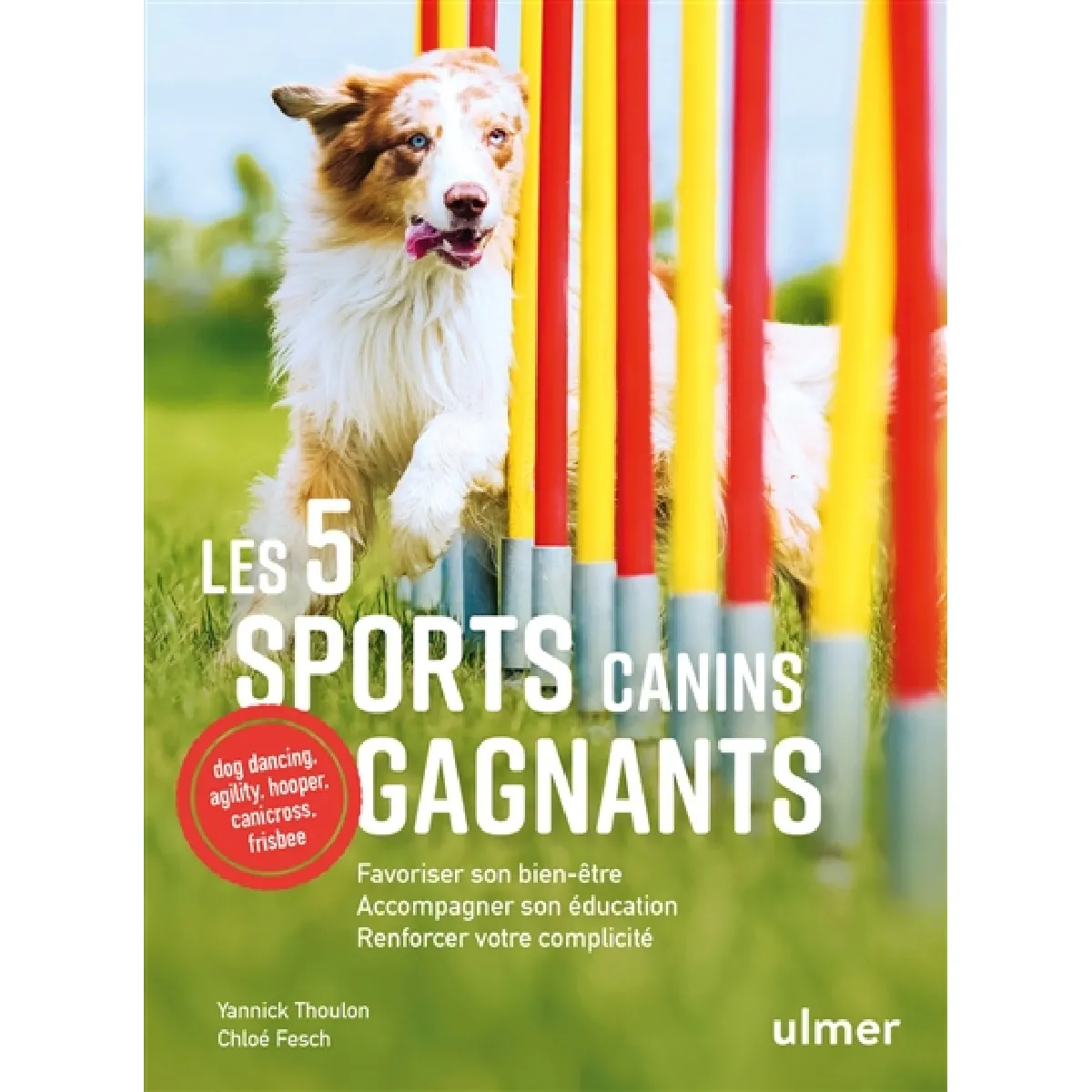 Les 5 sports canins gagnants : favoriser son bien-être, accompagner son éducation, renforcer votre complicité : dog dancing, agility, hooper, canicross, frisbee · Occasion