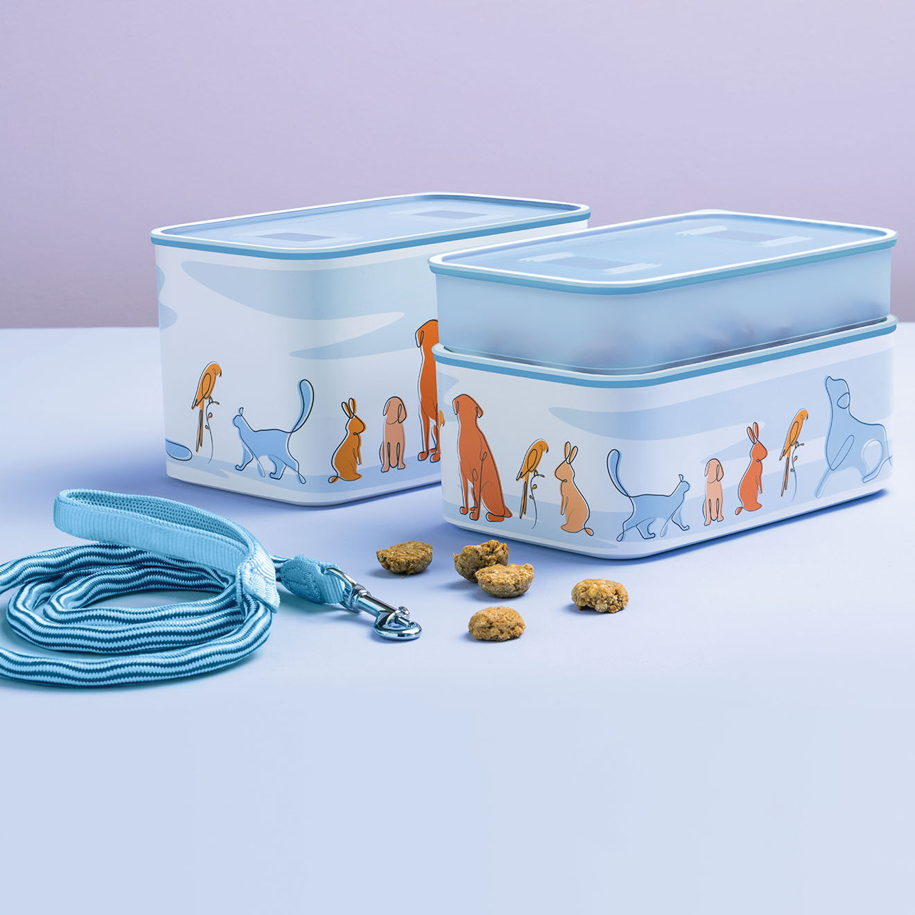 Tupperware Boite avec couvercle Opti Compagnons transparente - 2.9L