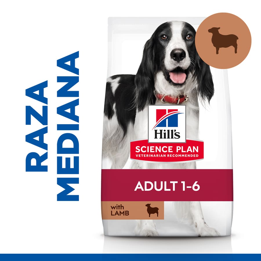 Ração para cães Hill's Science Plan Adult Medium com cordeiro e arroz