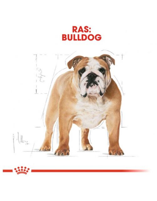 Royal Canin Bulldog Adult - Hondenvoer