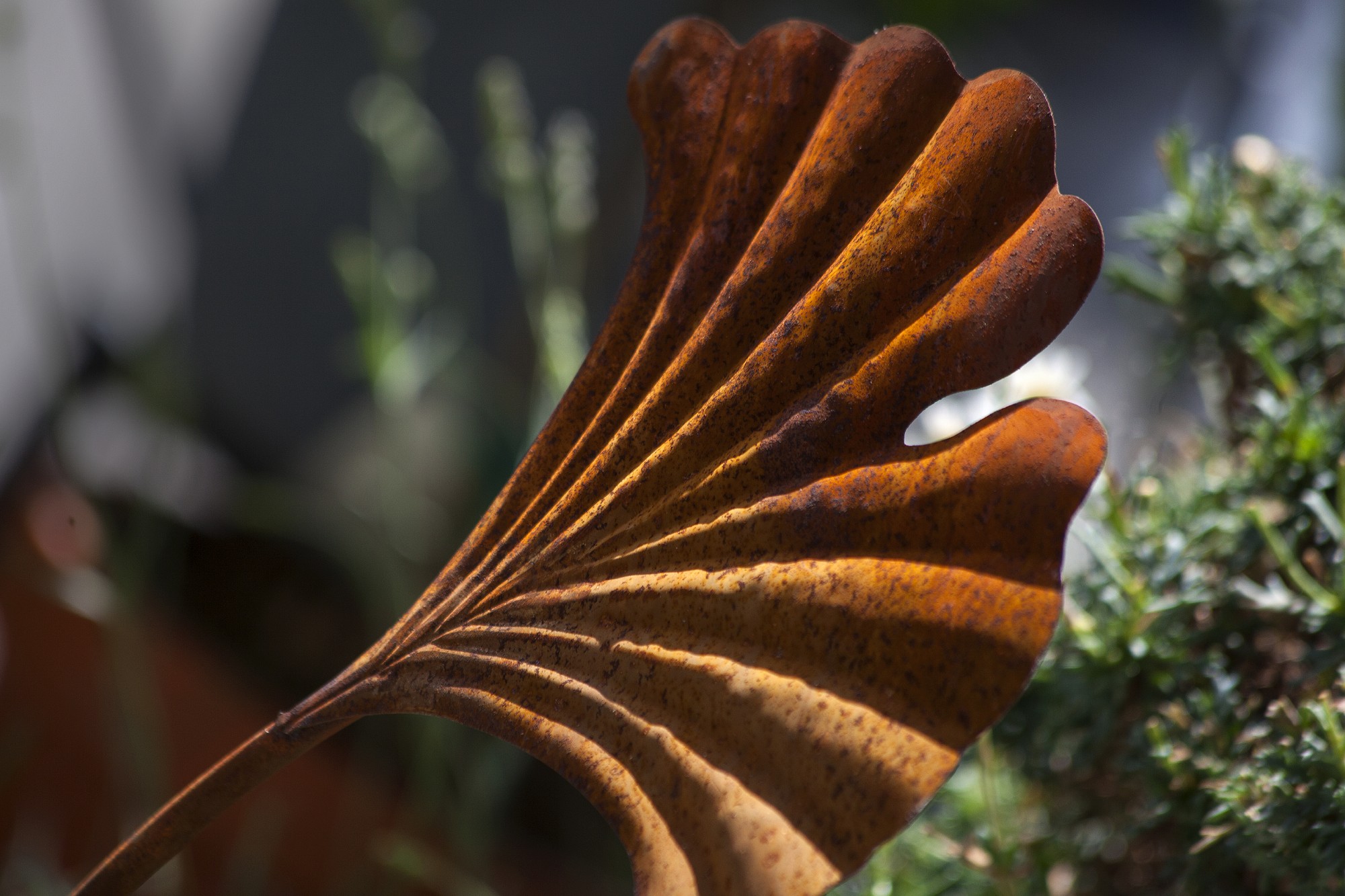 Gartenstecker 'Gingko', braun, T 0,5 cm, B 23,5 cm, H 84 cm günstig bestellen