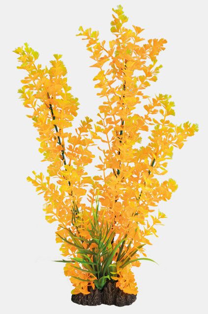 Superfish Art Plant 40cm Ludwigia Orange | Aquarium planten