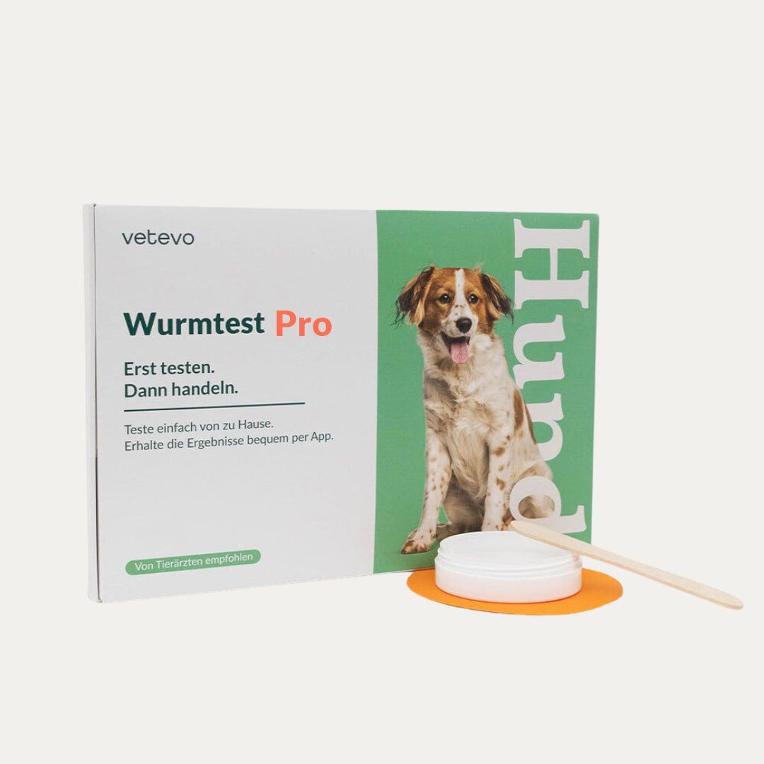 Wurmtest Pro Hund