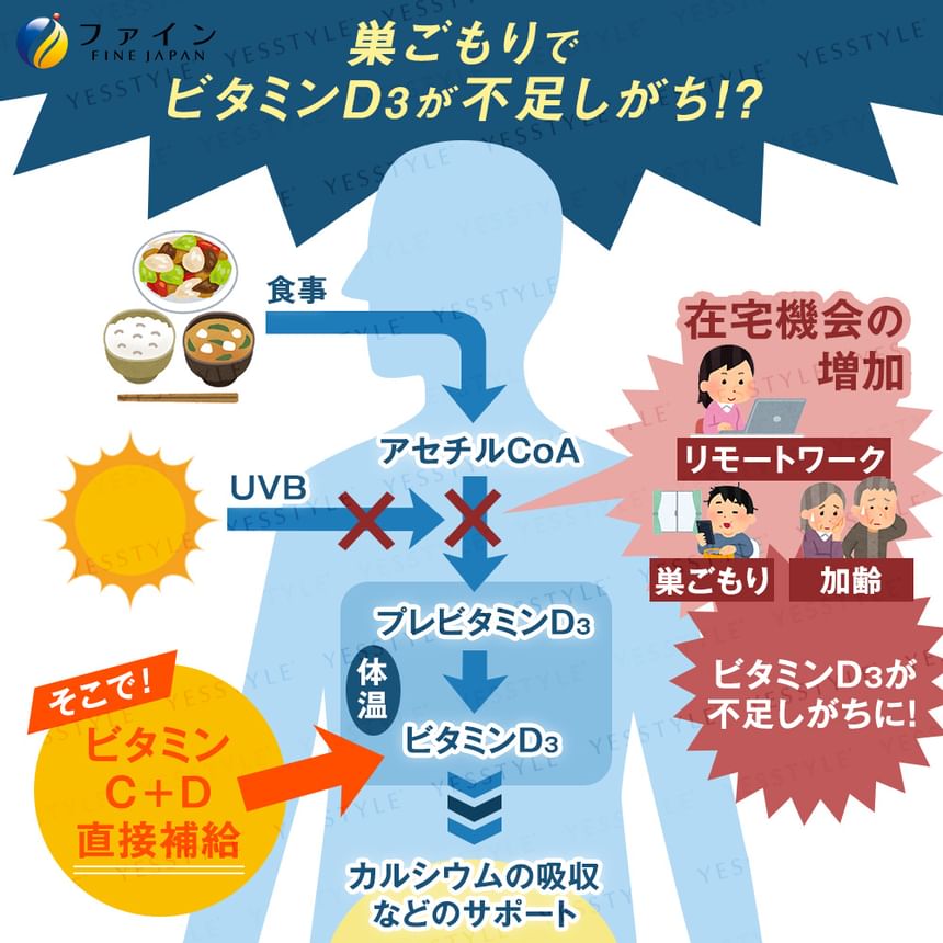FINE JAPAN - Ionendrank met vitamine C + D Plus+