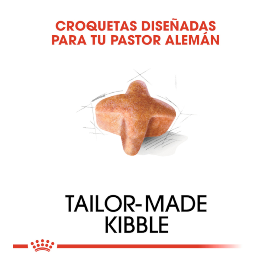 Ração Royal Canin para cães adultos da raça Pastor Alemão