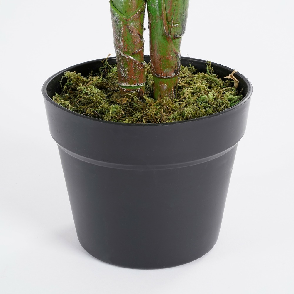 Calathea orbifolia artificielle en pot h90